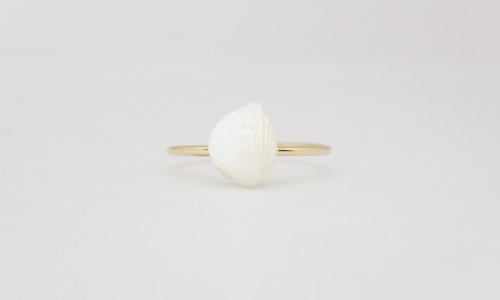Angel wing shell ring