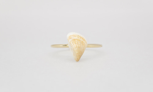 Fairy wing shell ring