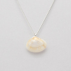 Beige shell necklace