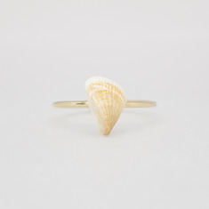 Fairy wing shell ring